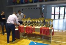 Aur şi bronz pentru luptătorii gorjeni