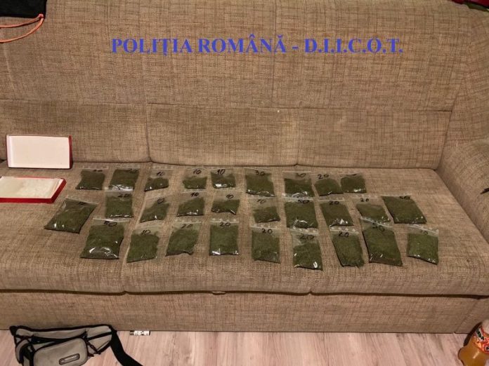 46519458_361856404551207_7728549729369325568_n