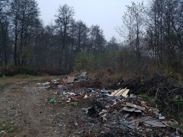 46731080_1943710289264269_340563139609231360_n