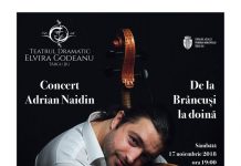 Concert marca Adrian Naidin, la Târgu-Jiu