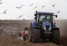 Pentru ce este important să arăm terenul toamna