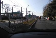 O herghelie de cai a blocat străzile în cartierul Debarcader din Târgu-Jiu!