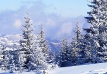 Tradiţii şi superstiţii de Sf. Andrei