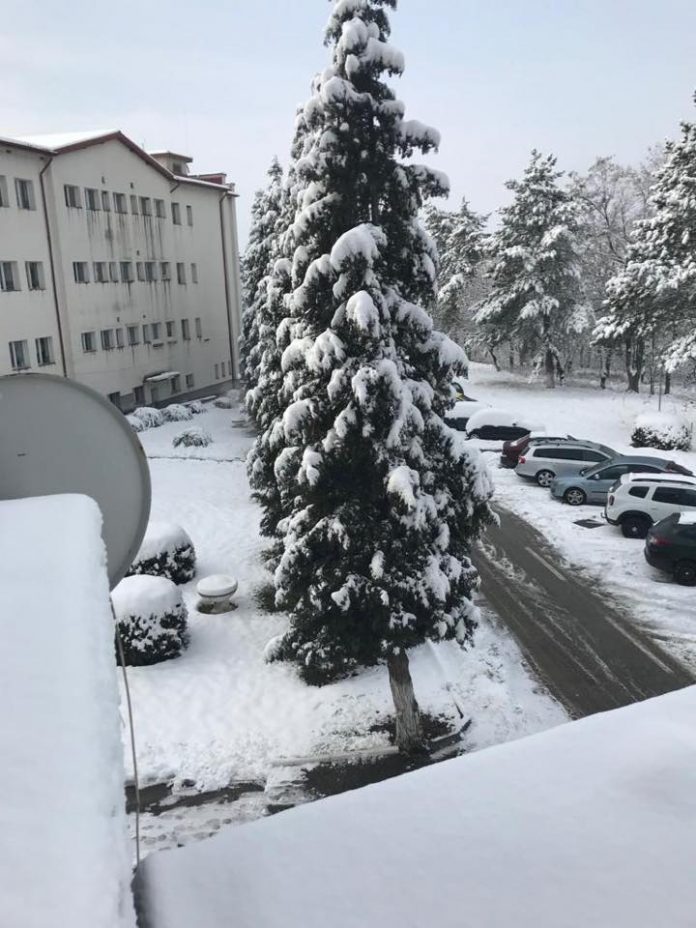 iarna spital dobrita (4)