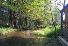 În lumea „Apei Vii” la Izvarna