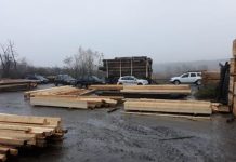 Video: Verificări și confiscări la două depozite de lemne din Gorj