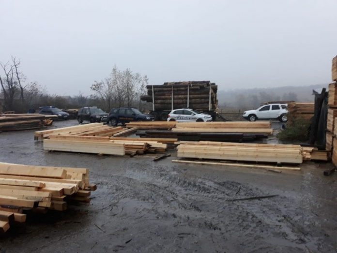 Video: Verificări și confiscări la două depozite de lemne din Gorj