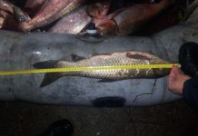 Prins în timp ce pescuia ilegal