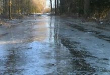 Cod galben, în Gorj