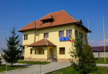 Angajări pe trei posturi vacante, la Primăria Drăguţeşti