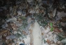 Proiectil din Primul Război Mondial, descoperit la Preajba