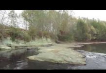 VIDEO: Garda de Mediu, în control la Târgu-Cărbunești după apariția unor imagini REVOLTĂTOARE