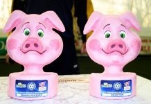 Jocuri pe bandă în Cupa Porcului