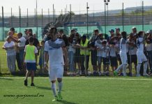 Denis Brînzan: “Voi fi apt pentru primul meci din 2019”