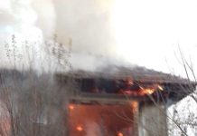 VIDEO EMOȚIONANT! O cățelușă a vrut să sară în foc să își salveze cei șapte pui