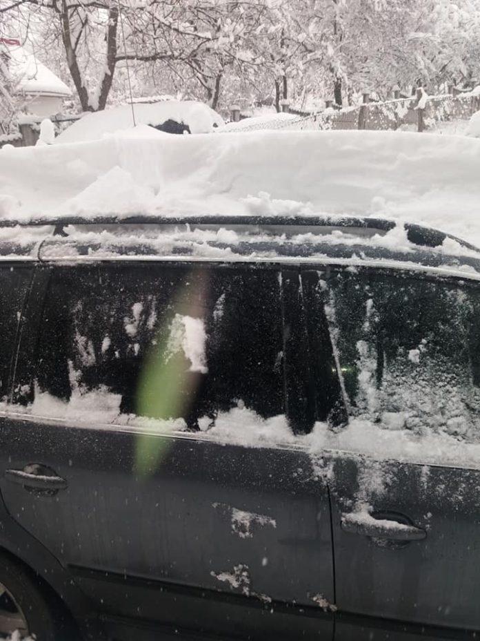 48372293_2225674207495066_1958273699907895296_n