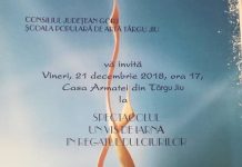 Spectacol de balet, mâine la Târgu-Jiu