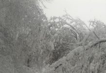 Ulițe din Urechești, blocate de zăpadă! Părinți cu copii mici, disperați