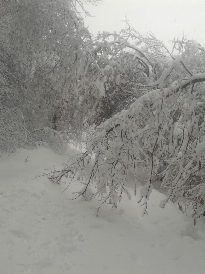 48382579_294552301181511_1669743487794282496_n