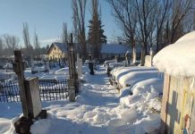 Edilul Romanescu le cere demisia!