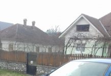 FOTO: Accident la Alimpești