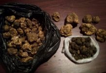 Patru kilograme de trufe, confiscate de polițiști