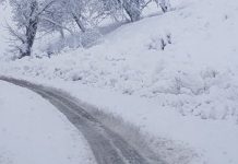 Drum județean acoperit de zăpadă între Licurici și Berlești! Cozi impresionante de mașini, niciun utilaj de deszăpezire