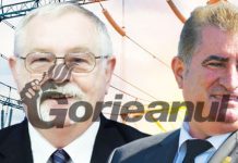 Ministrul Anton, interpelat de senatorul Iriza în problema centralelor hidroelectrice și a microcentralei de pe Jiu!