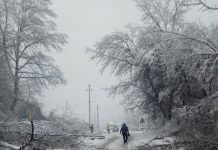 Comuna Săcelu, paralizată de zăpadă! Sate fără curent, fire căzute pe carosabil