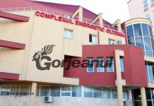 CEO face economie cu economiști! 27 de pile, pe ștatul de plată al companiei, promovate în ultimul Directorat