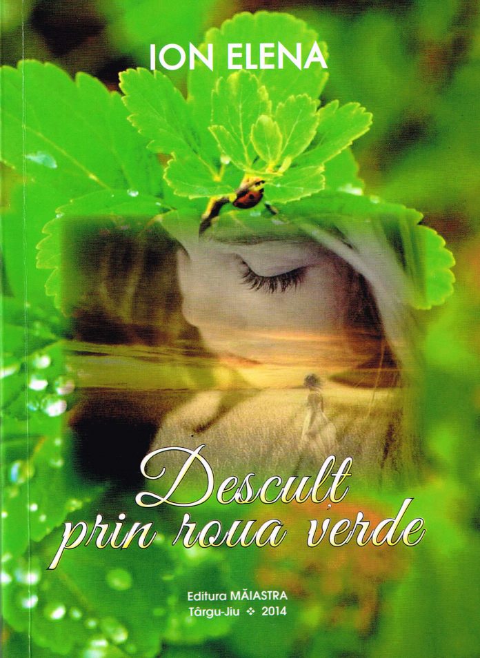 coperta Descult prin roua uda