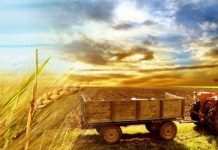 APIA a achitat un avans de peste 1 miliard de euro la subvențiile pentru fermieri