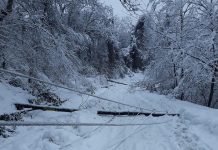 Sindicalistul Măruță, indignat de nepăsarea primarului din Stănești: „Oamenii din Pârvulești și Vălari sunt izolați și vin la serviciu pe jos, prin zăpadă”