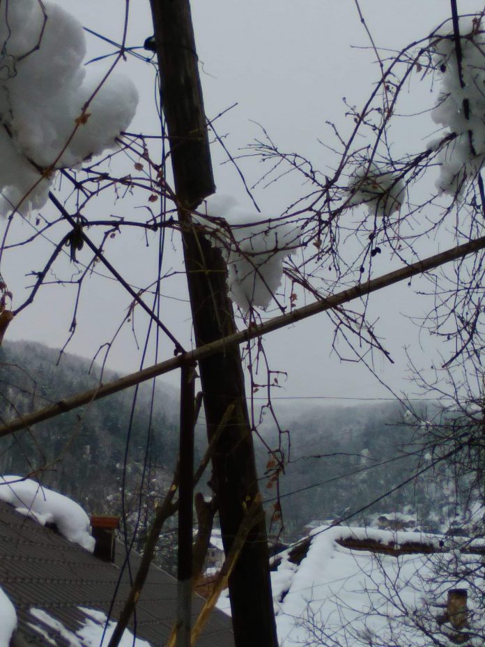 received_2449850368418695