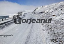 Documentarul „Transalpina – Drumul Regilor”, vizionat de peste o mie de spectatori
