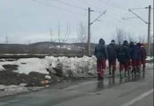 CEO a închiriat cu 1,2 milioane de lei autovehicule cu șofer pentru EMC Motru și EMC Roșia-Rovinari! Atribuirea târzie a lăsat sute de mineri fără transport