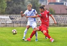 Dodoi ar putea reveni la Pandurii