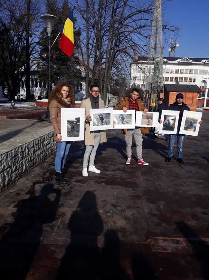 50570600_522438981580513_6208971844570054656_n