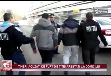 TINERI ACUZAȚI DE FURT DE ȚIȚEI,ARESTAȚI LA DOMICILIU