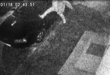 Video: Mașini din Târgu-Jiu, vandalizate cu lovituri de picioare!