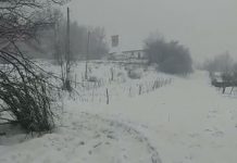 Video: Femeie decedată în satul Pinoasa, îngropată cu ajutorul unui utilaj al Carierei Tismana 1! Drumul înzăpezit spre cimitir, lăsat sub nămeți de primarul Vulpe