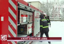 A MURIT STRIVITĂ DE LEMNE