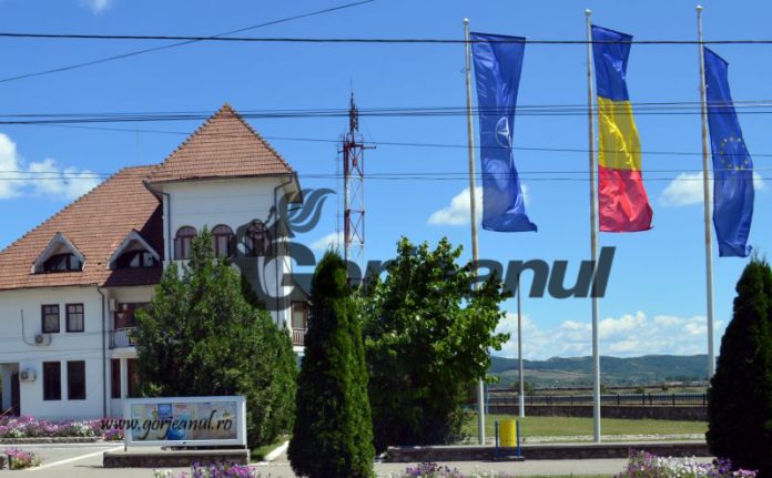 primaria turceni ins