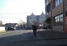 Amendă de 300 de lei pentru proprietarul unor cai lăsați liberi