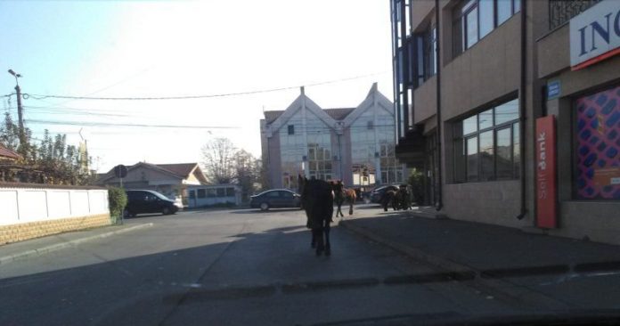 46165966_322100905279649_2645254844184526848_n