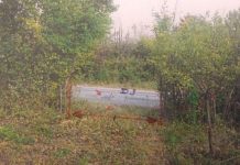 Porțile unui fost polițist, furate de la Turcinești, negăsite nici după nouă ani! Dosarul cu AN, proprietarul își caută încă dreptatea în instanță