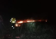 Incendiu de vegetație la Scoarța, pe o suprafață de 20 de hectare! Au intervenit pompierii și localnicii