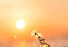 TERAPIE PENTRU SUFLET – Cine ne ghidează existența? Încotro ne îndreptăm?