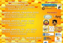 Mâine și duminică are loc Târgul Apicol, la Târgu-Jiu