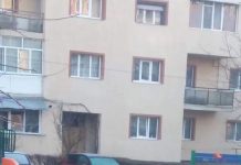 Haită de câini, în locul de joacă de pe strada 22 Decembrie 1989 din Târgu-Jiu!